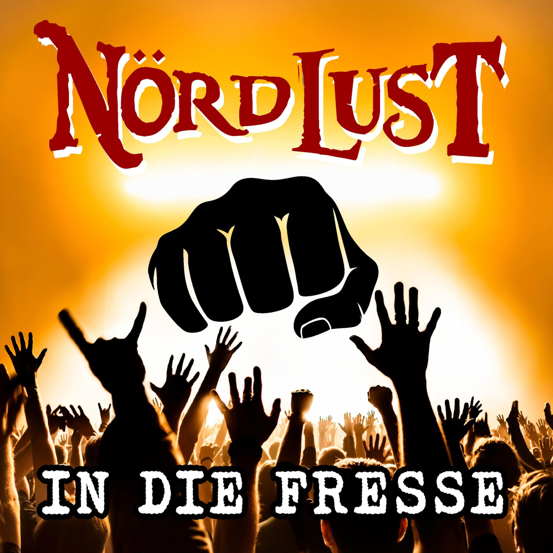Album cover of In die Fresse