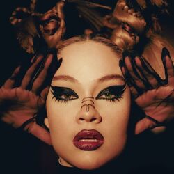 Cover of Não Ama Nada