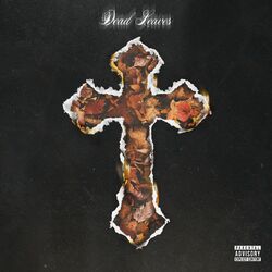 Cover of Dead Leaves