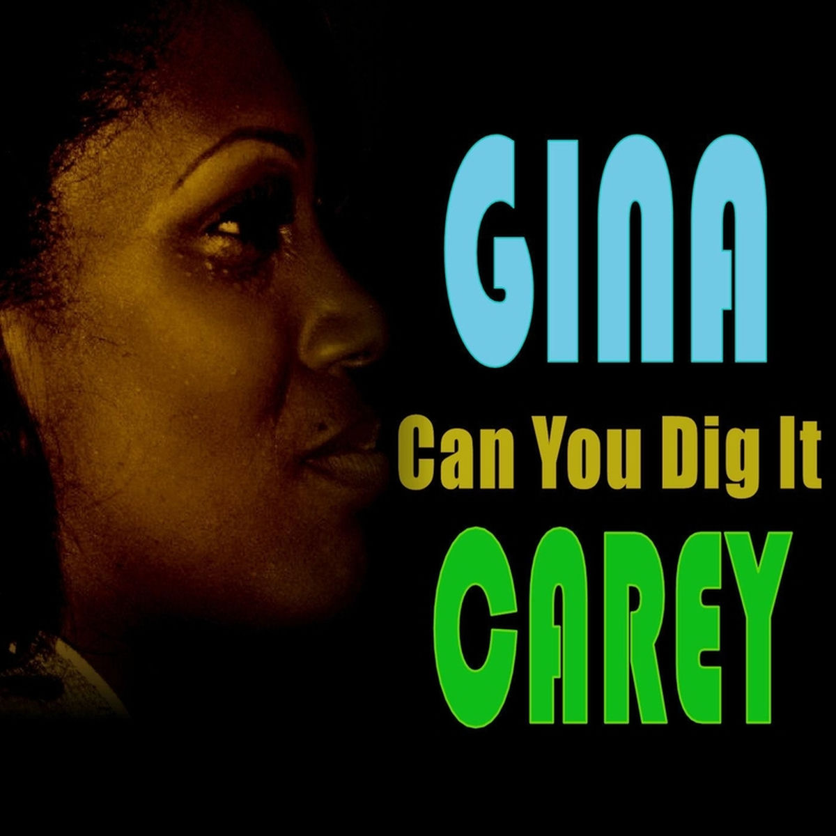 Album cover of Can You Dig It