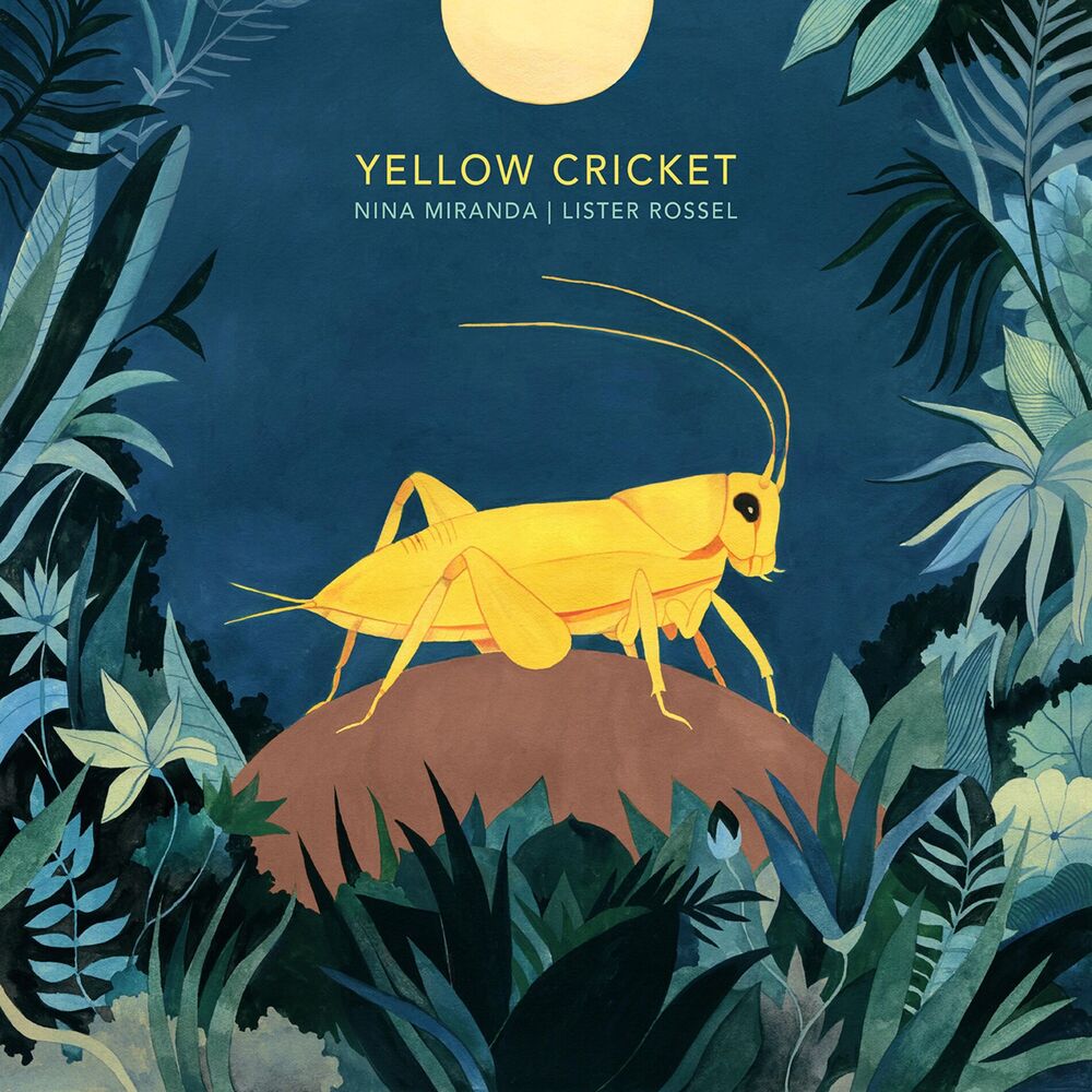 Picture of Yellow Cricket