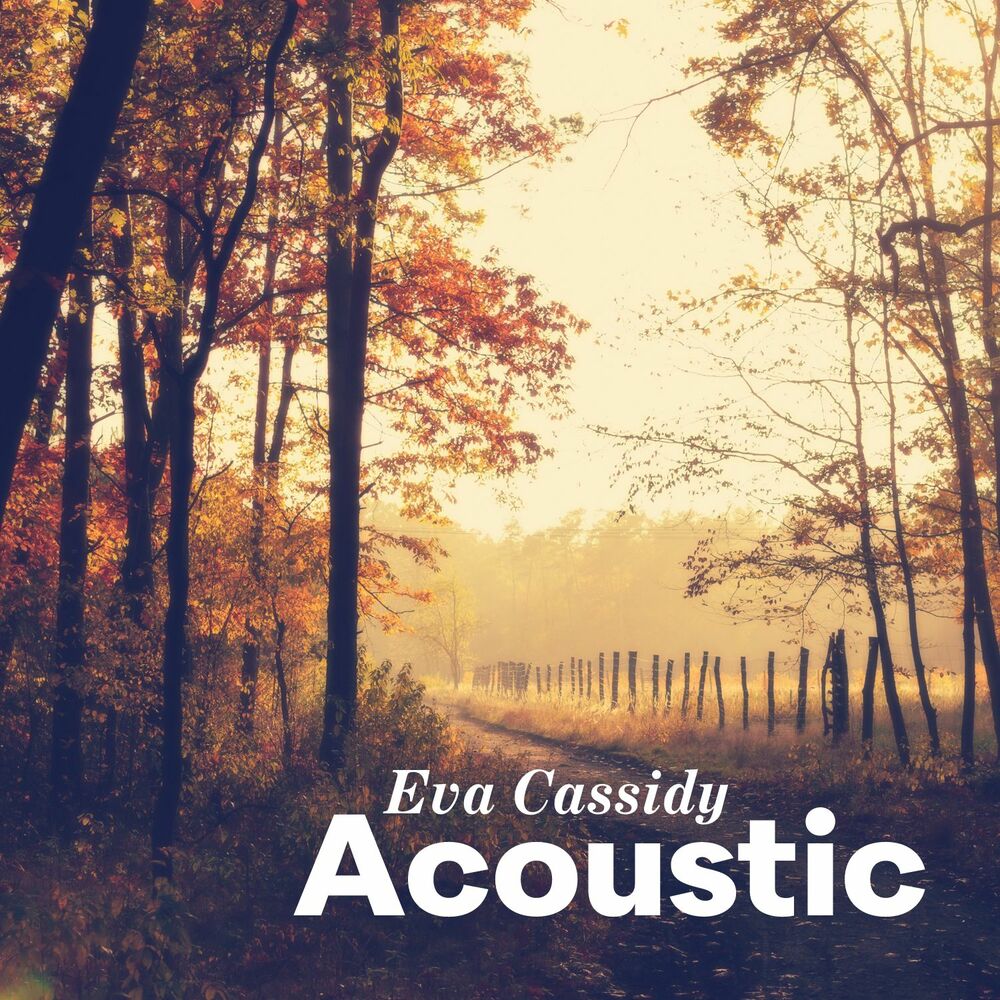 Picture of Acoustic