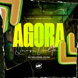 Cover of Agora Quer Voltar