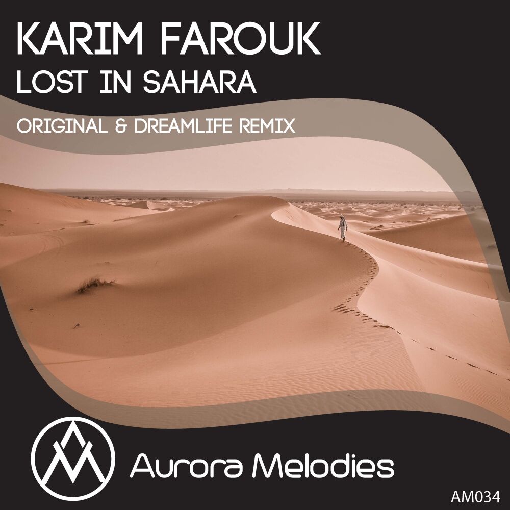 Picture of Lost In Sahara