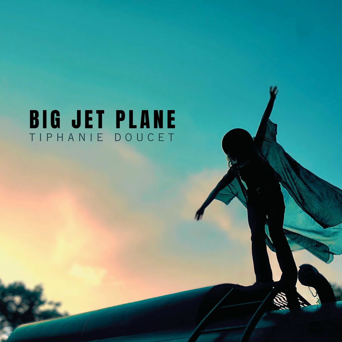 Album cover of Big Jet Plane