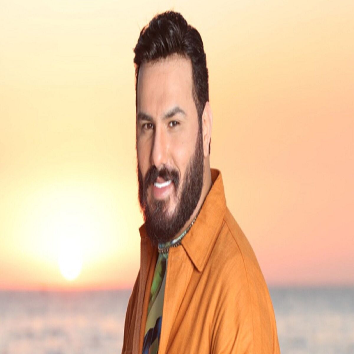 Album cover of احاول انسى حبك