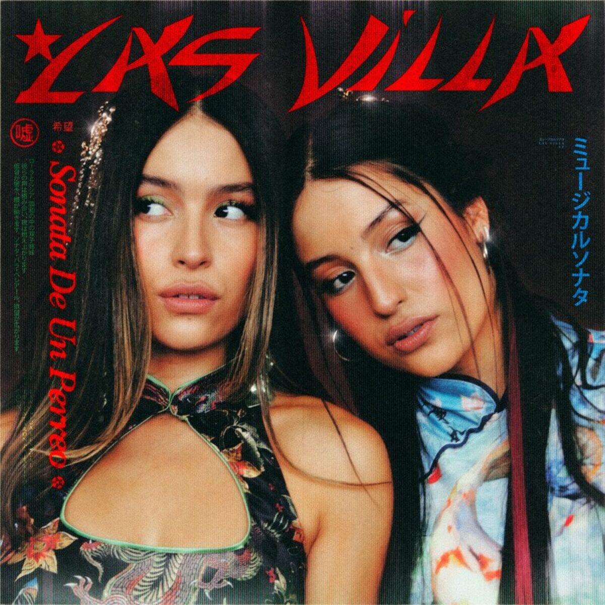 Album cover of SONATA DE UN PERREO