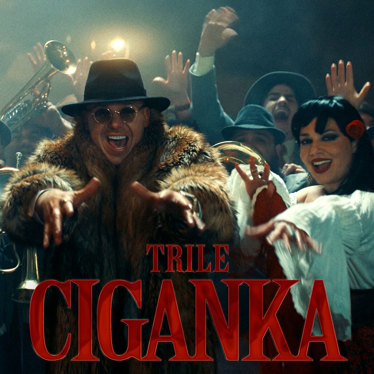 Album cover of Ciganka