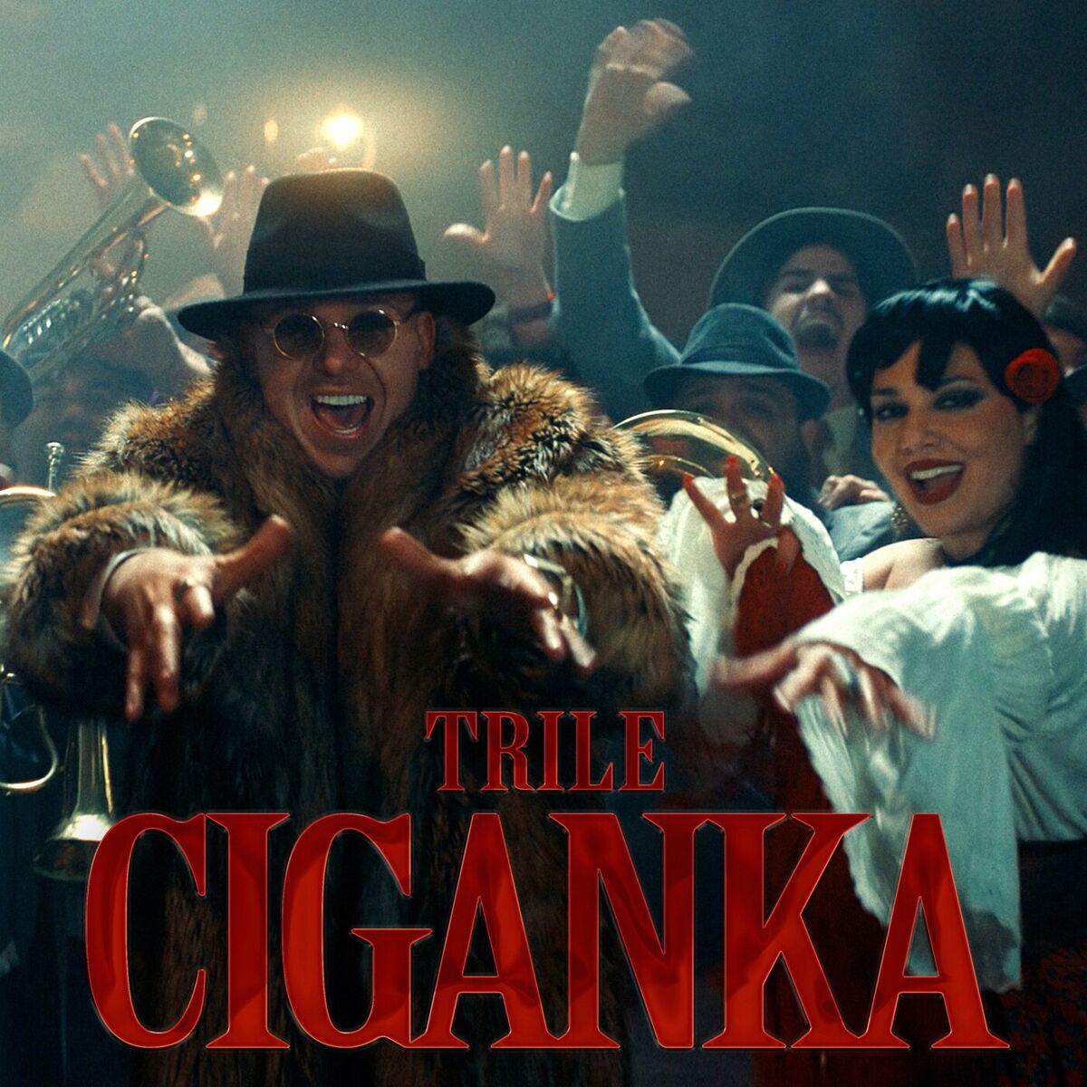 Album cover of Ciganka