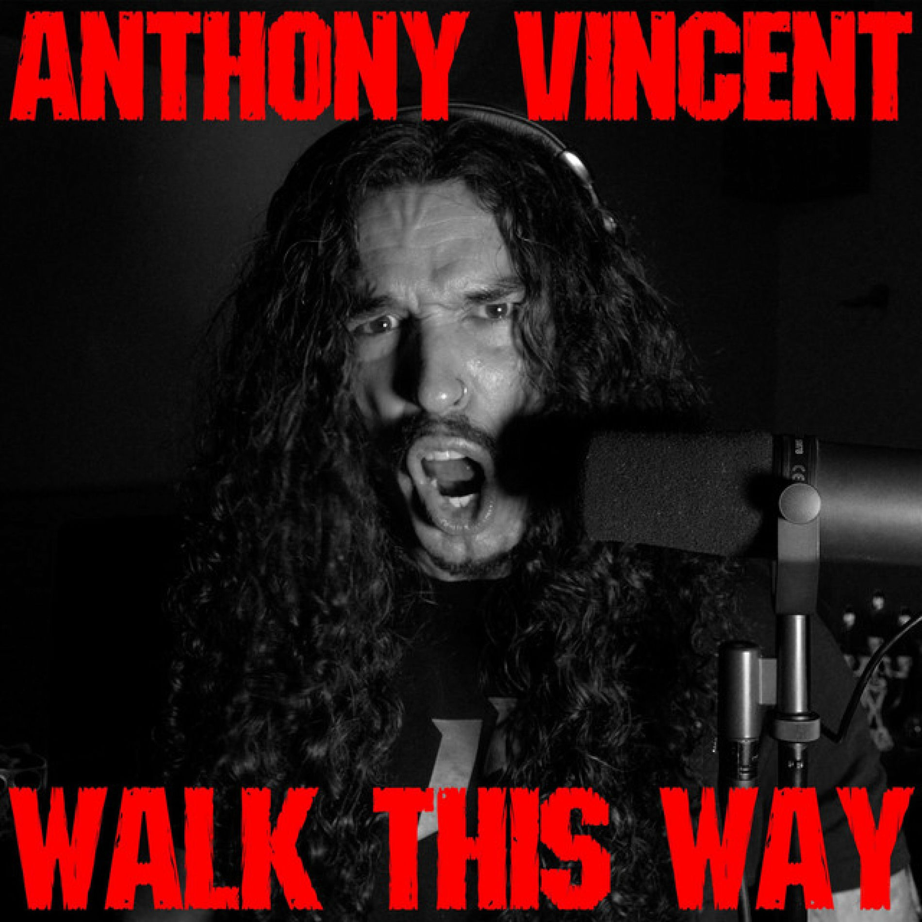 Album cover of Walk This Way (In style of Pantera)