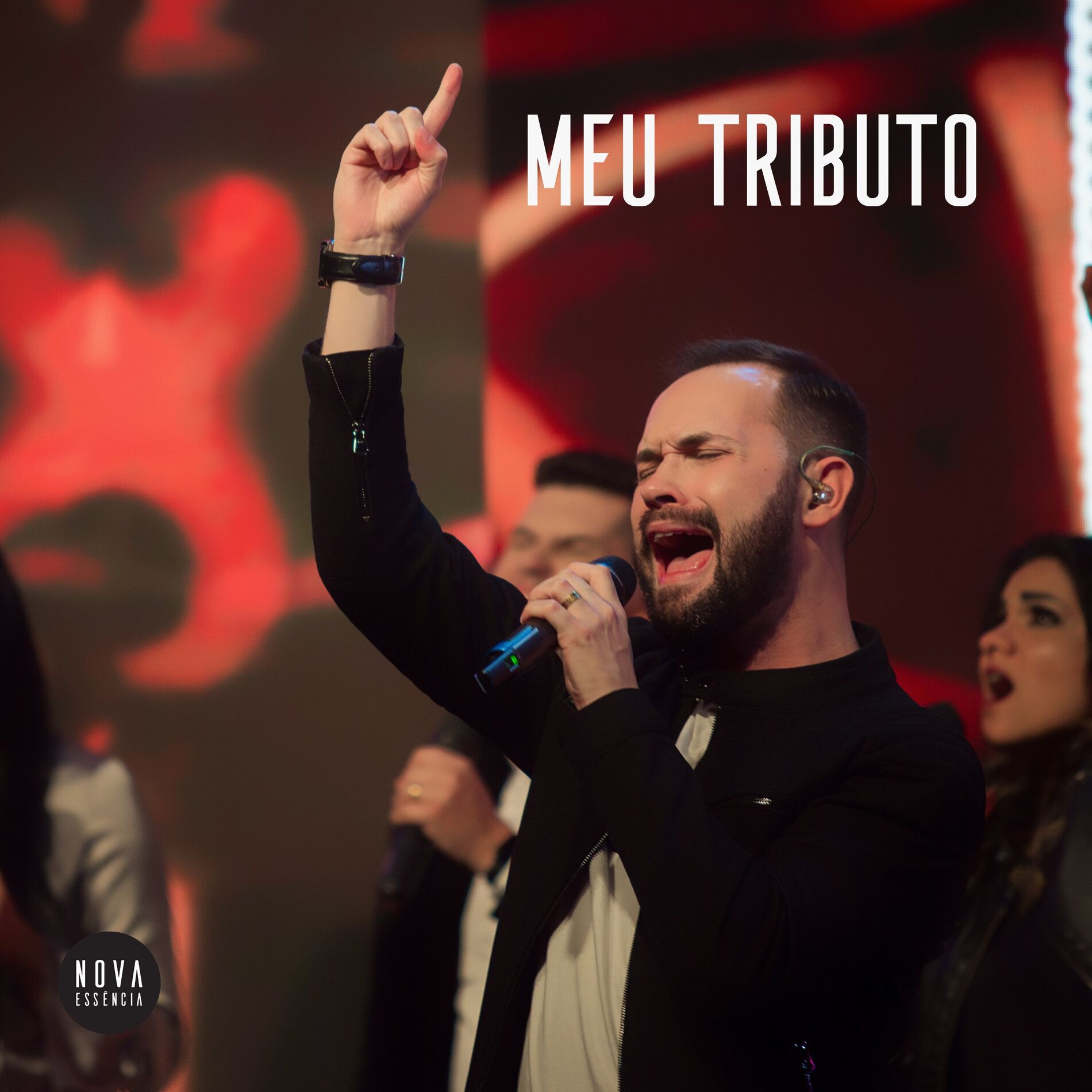 Album cover of Meu Tributo