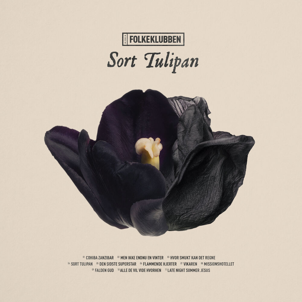 Picture of Sort Tulipan