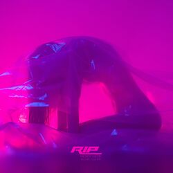 Cover of RIP
