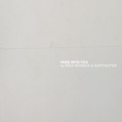Cover of Fade Into You [2020]