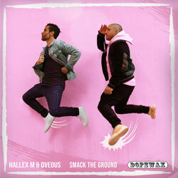 Cover of Smack the Ground