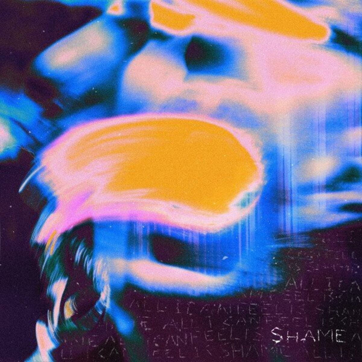 Album cover of Shame