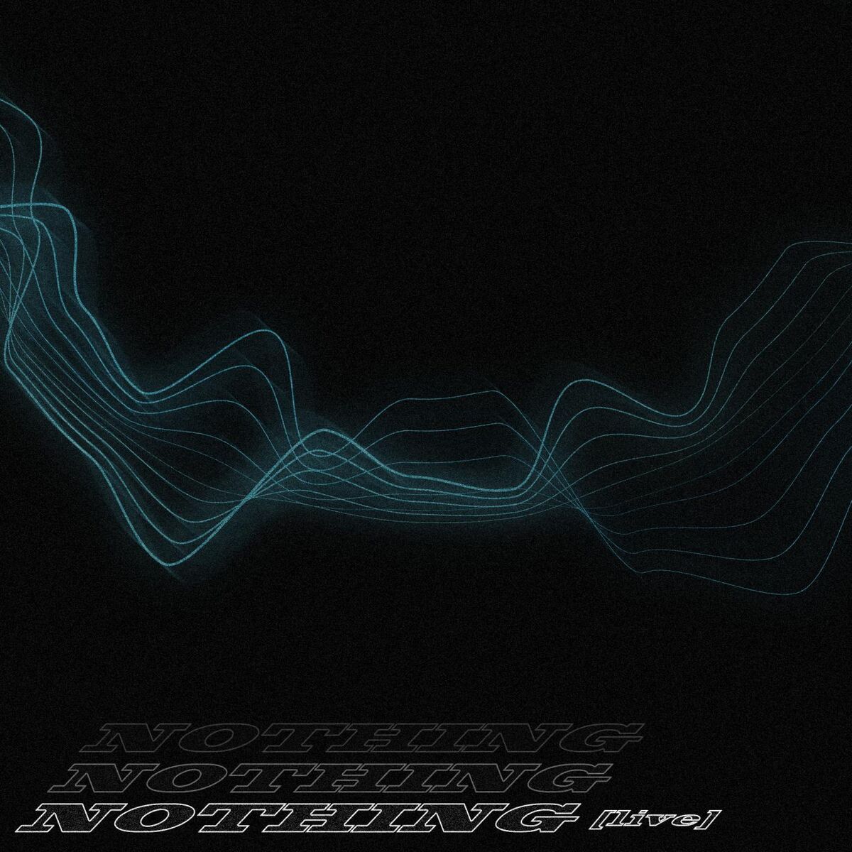Album cover of Nothing (Live)