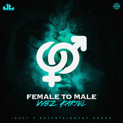 Cover of Female to Male