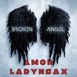 Cover of Broken Angel