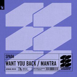 Cover of Want You Back / Mantra