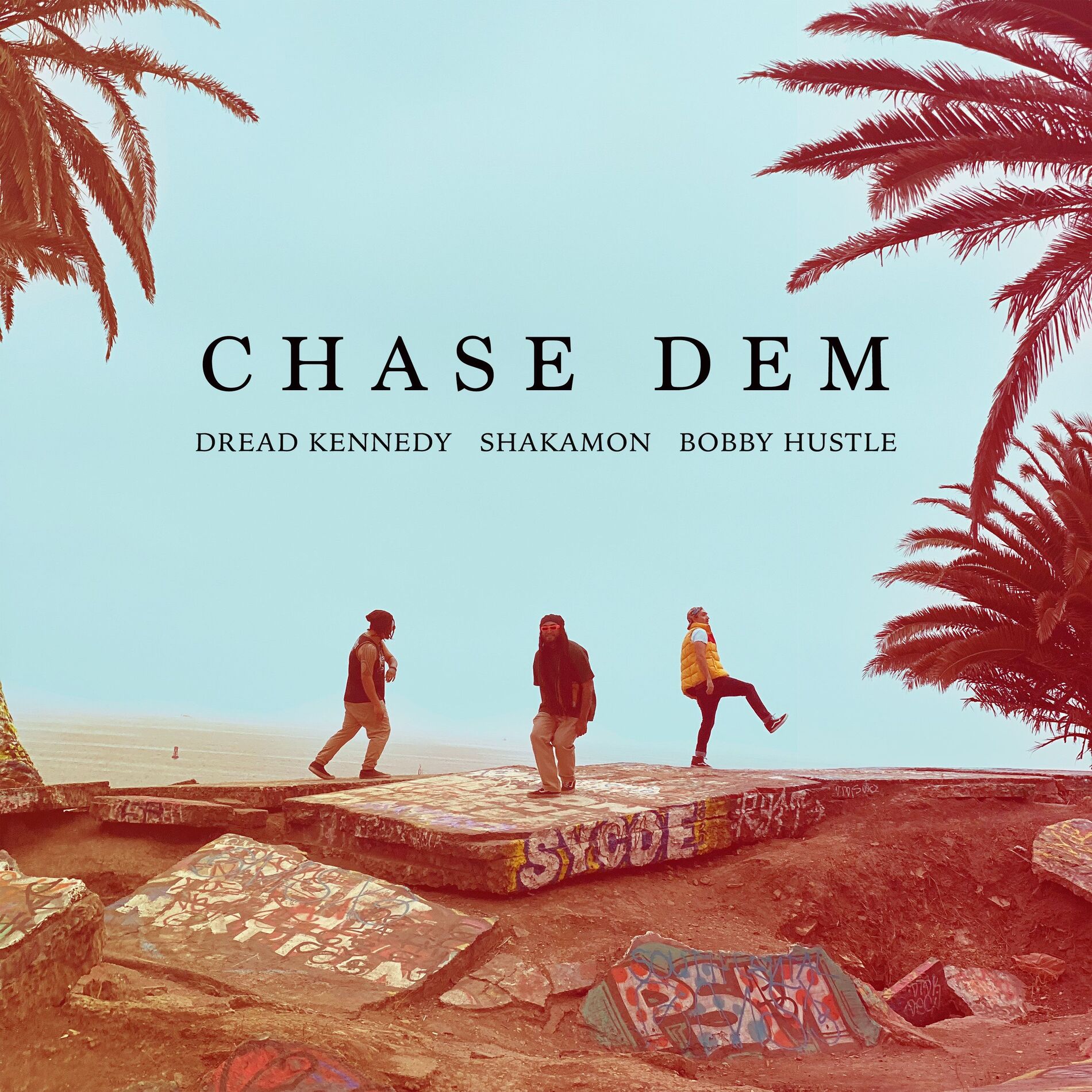 Album cover of Chase Dem