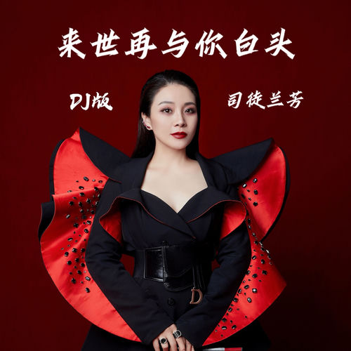 来世再与你白头 (DJ版)