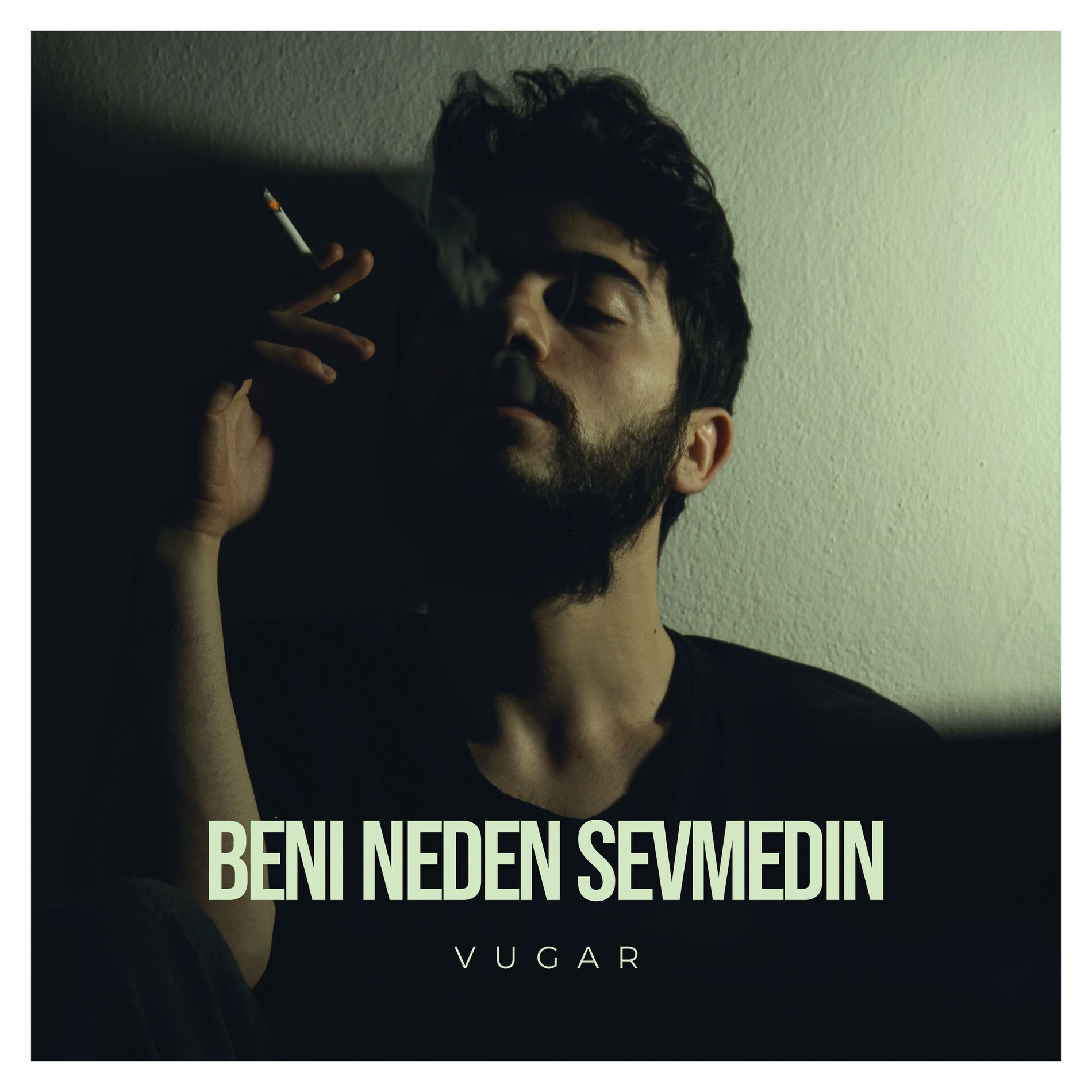 Album cover of Beni Neden Sevmedin