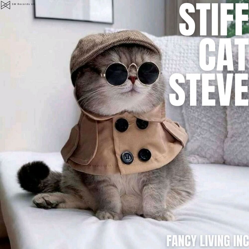 Picture of Fancy Living Inc