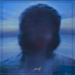 Cover of Gravity