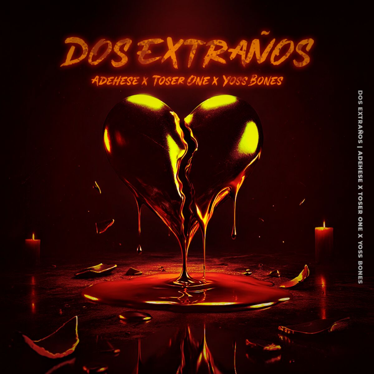 Album cover of Dos Extraños