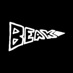 Cover of Beak>