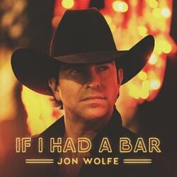 Cover of If I Had a Bar