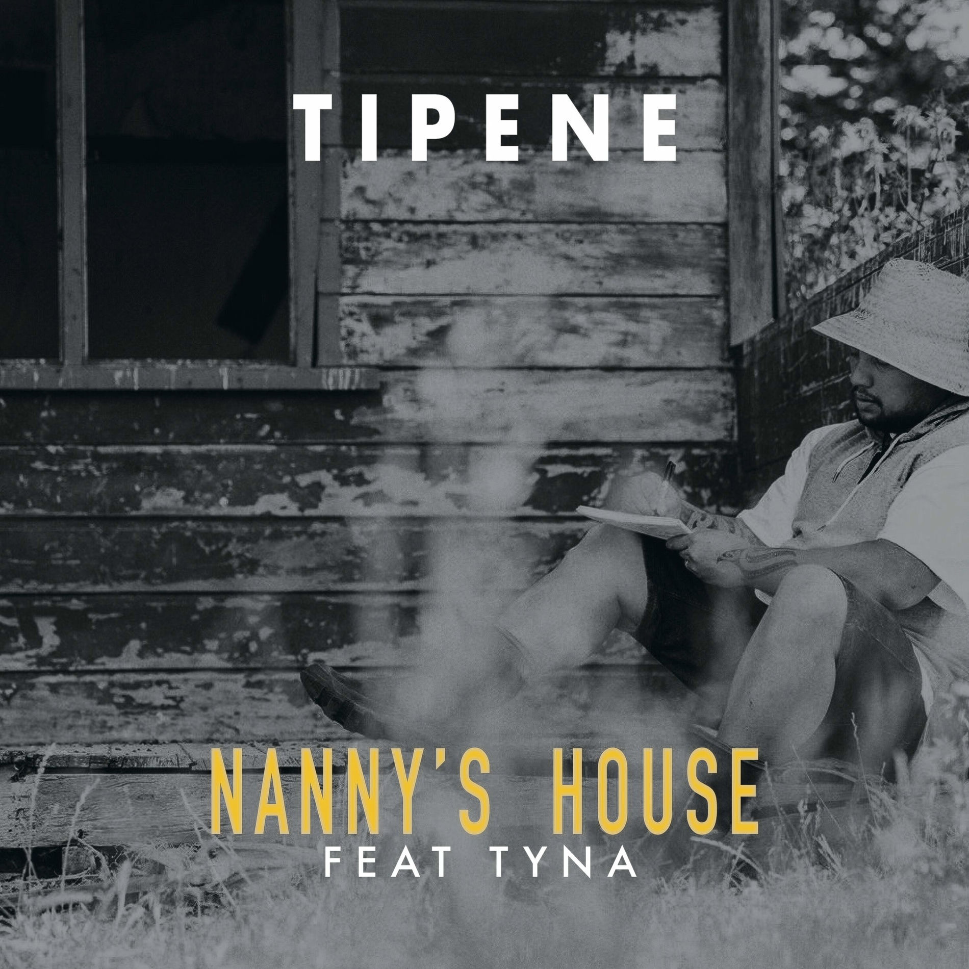 Album cover of Nannys House