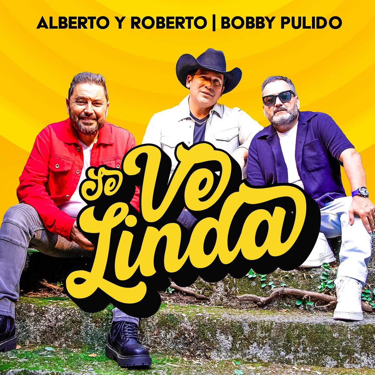 Album cover of Se Ve Linda