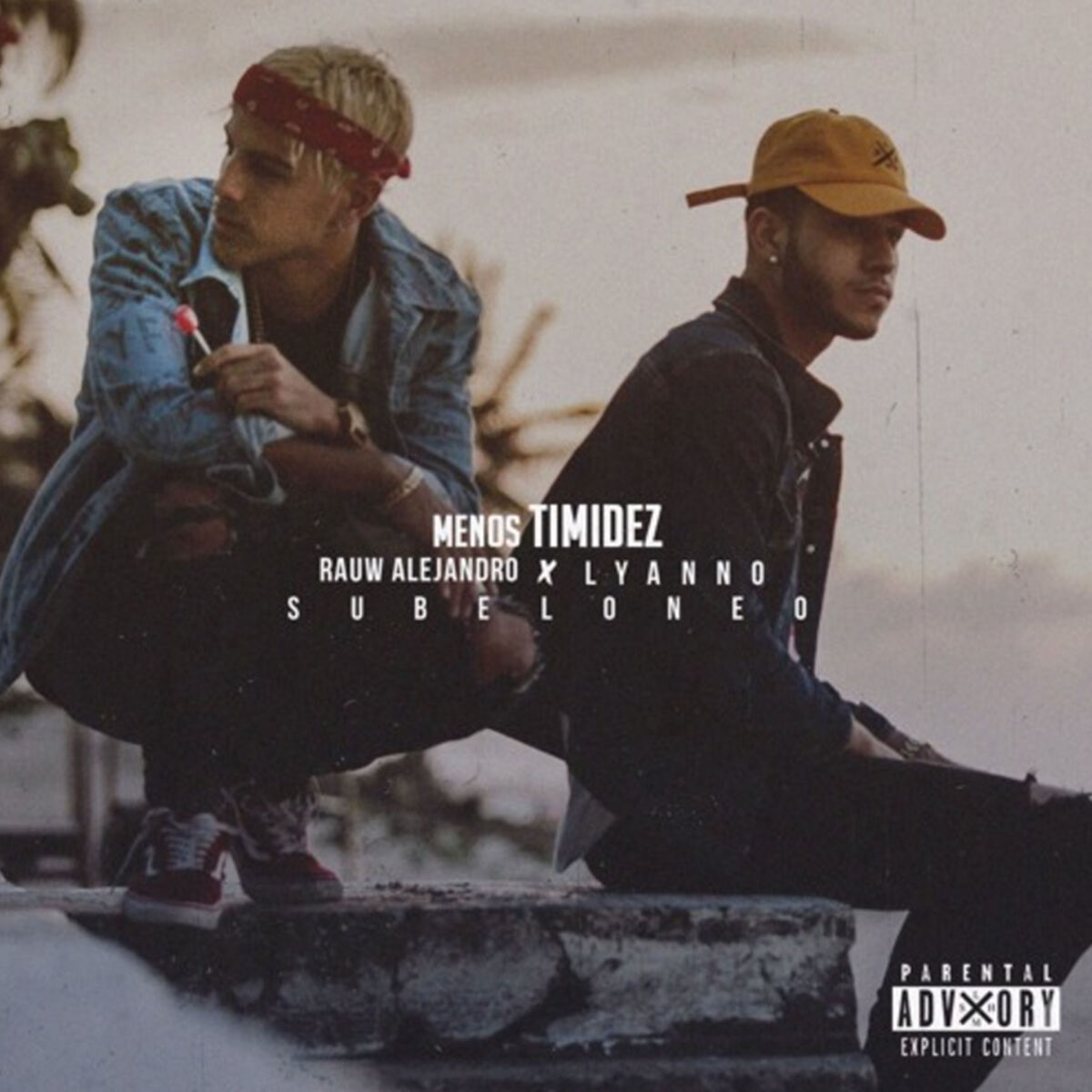 Album cover of Menos Timidez