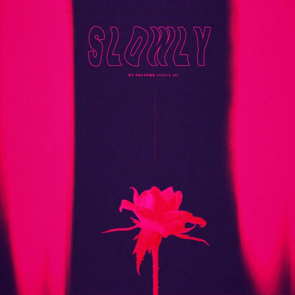 Picture of Slowly
