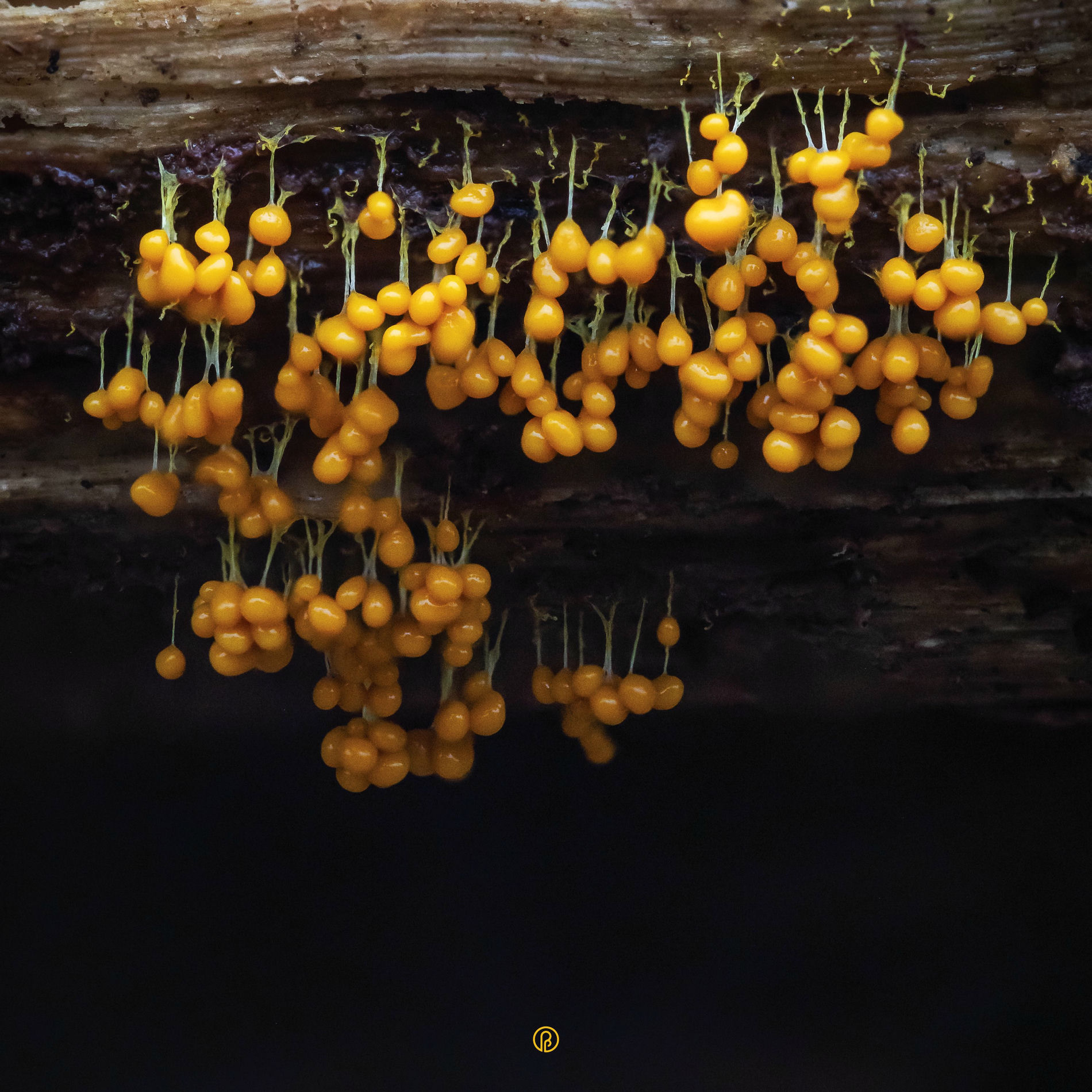 Album cover of A New Landscape