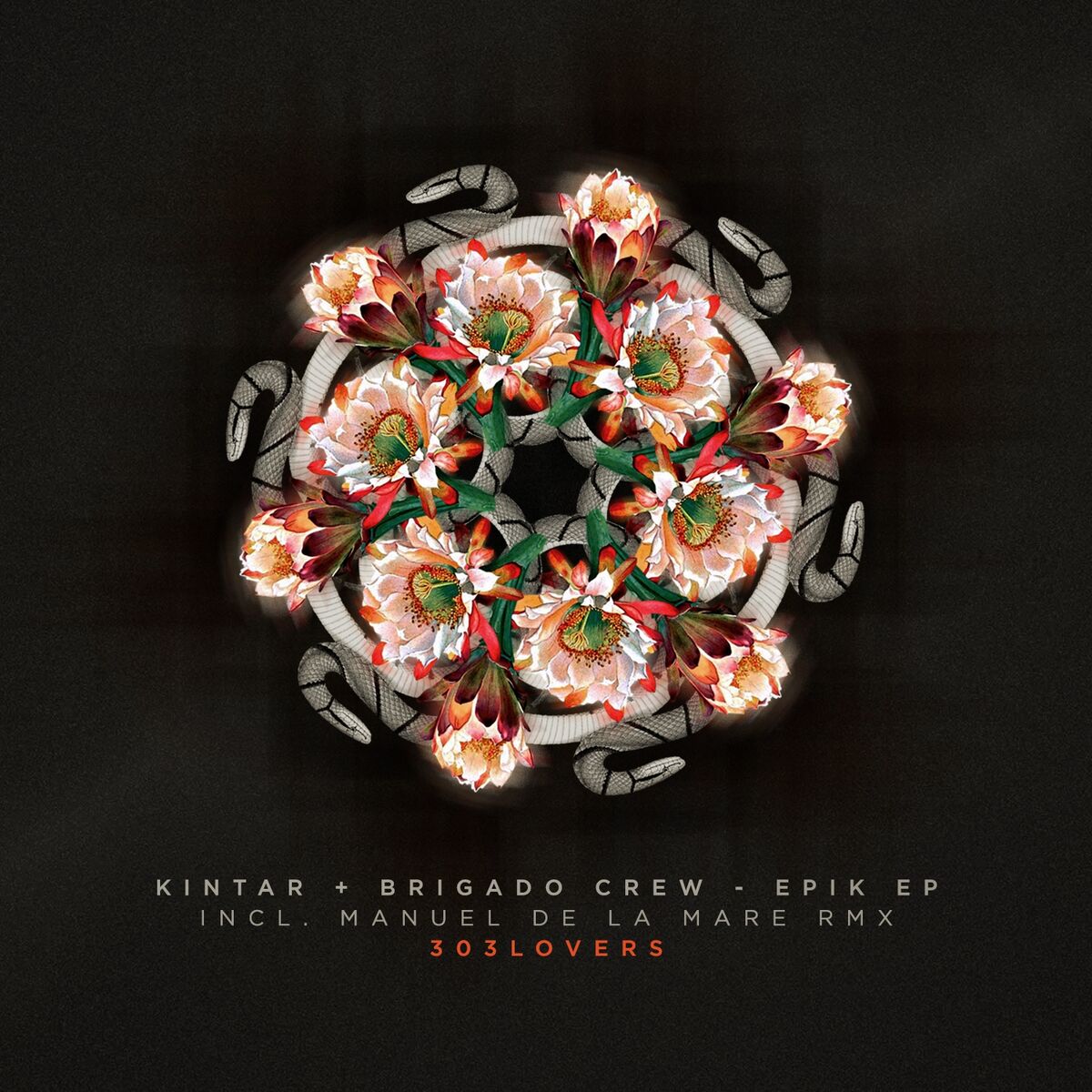 Album cover of Epik