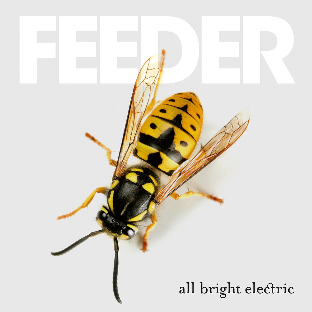 Picture of All Bright Electric (Deluxe Version)