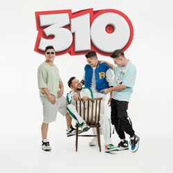 Cover of 310