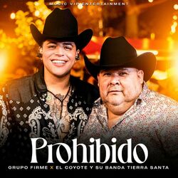 Cover of Prohibido (En Vivo)