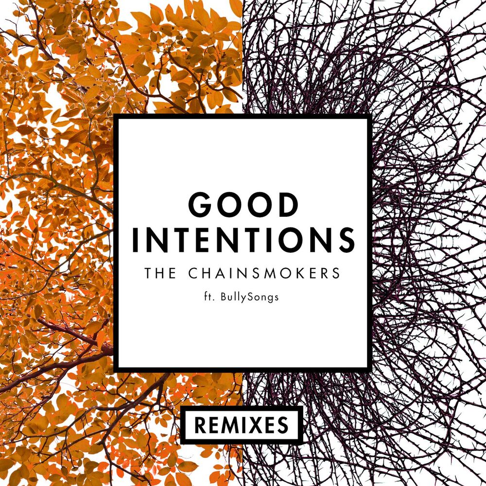 Picture of Good Intentions (Remixes) (feat. BullySongs)