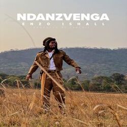 Cover of Ndanzvenga