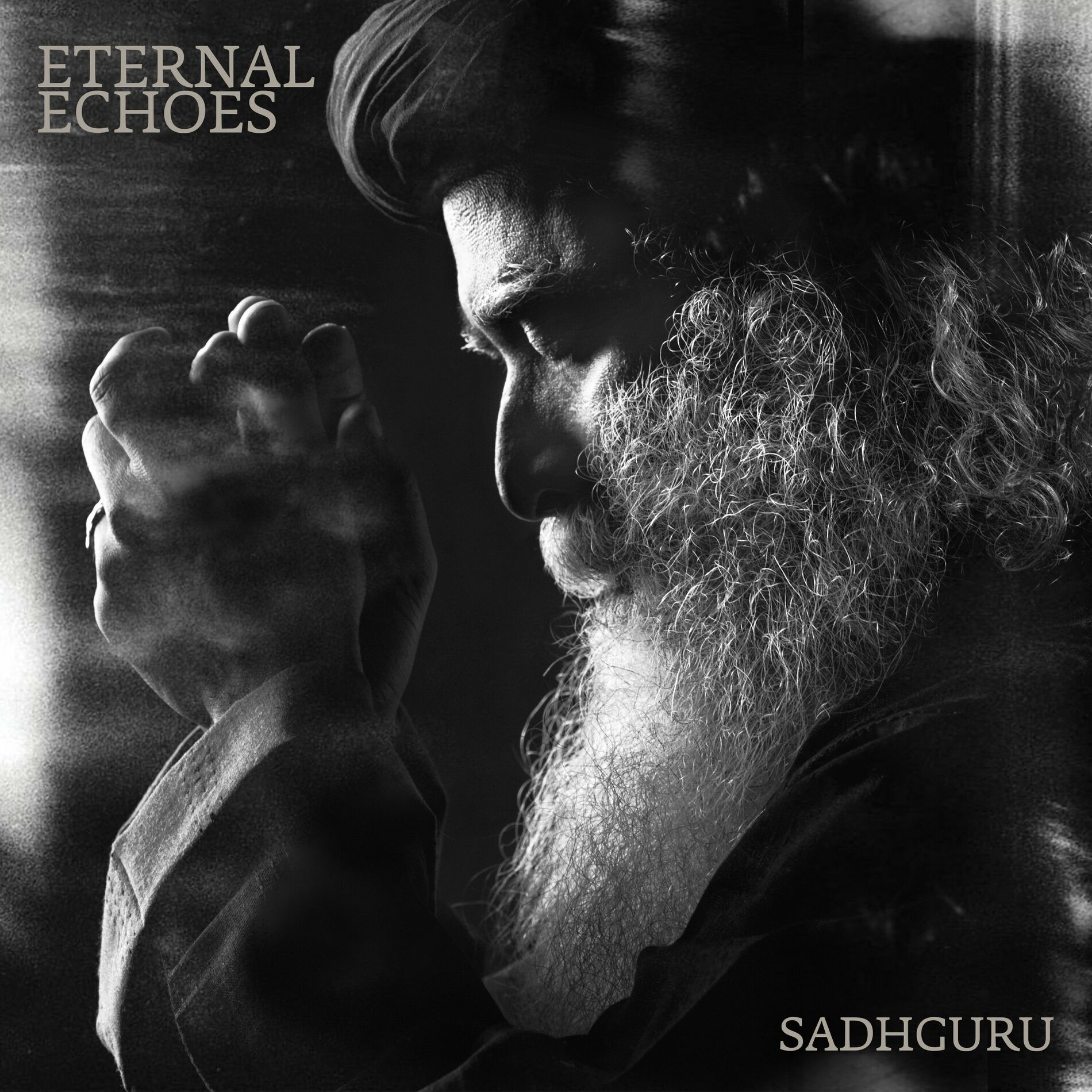 Album cover of Eternal Echoes