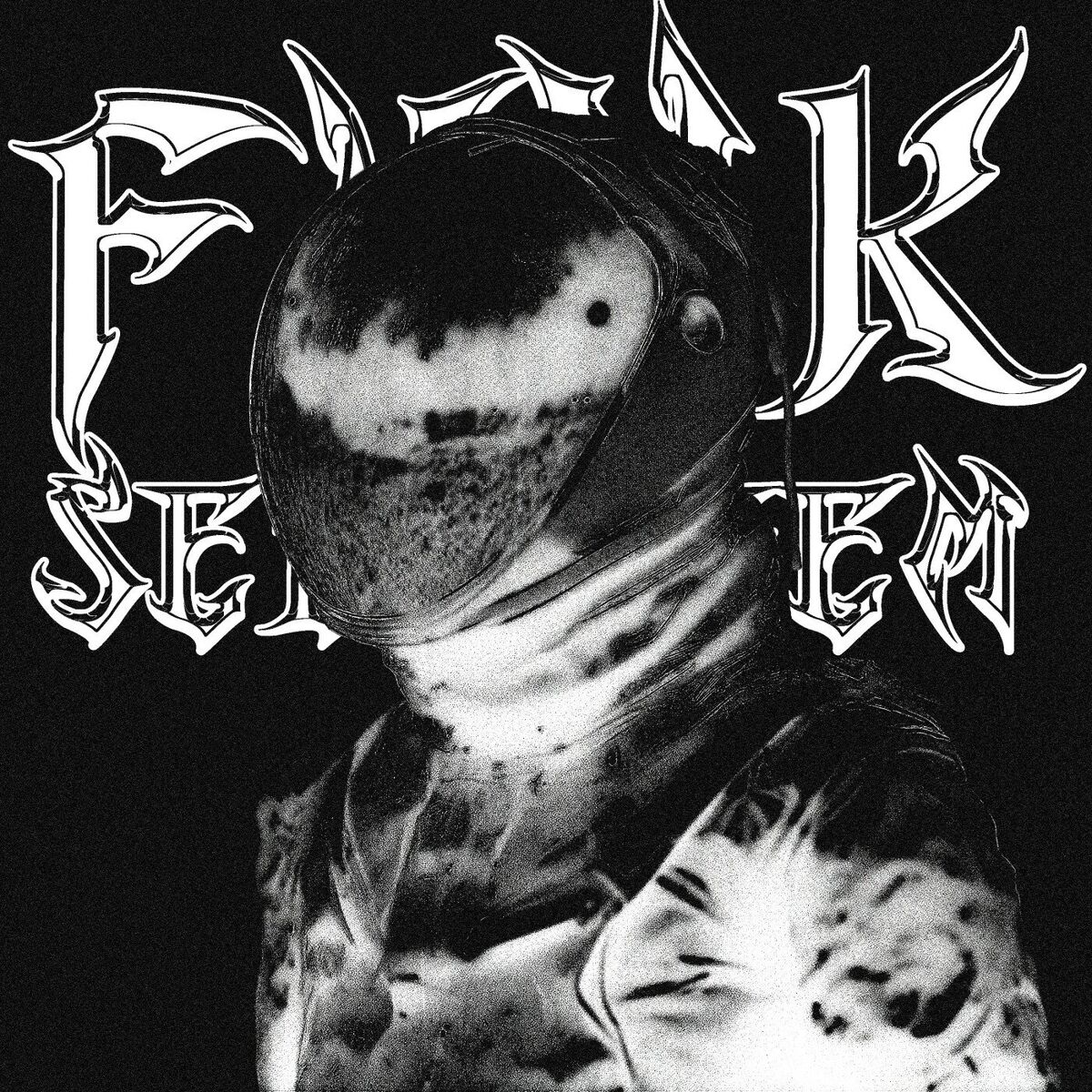Album cover of FUNK SELVAGEM
