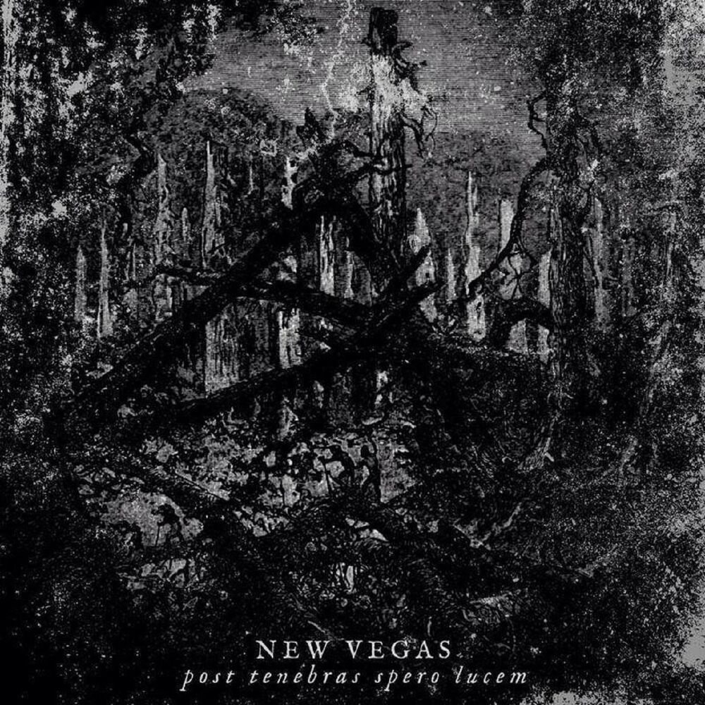 Picture of Post Tenebras Spero Lucem