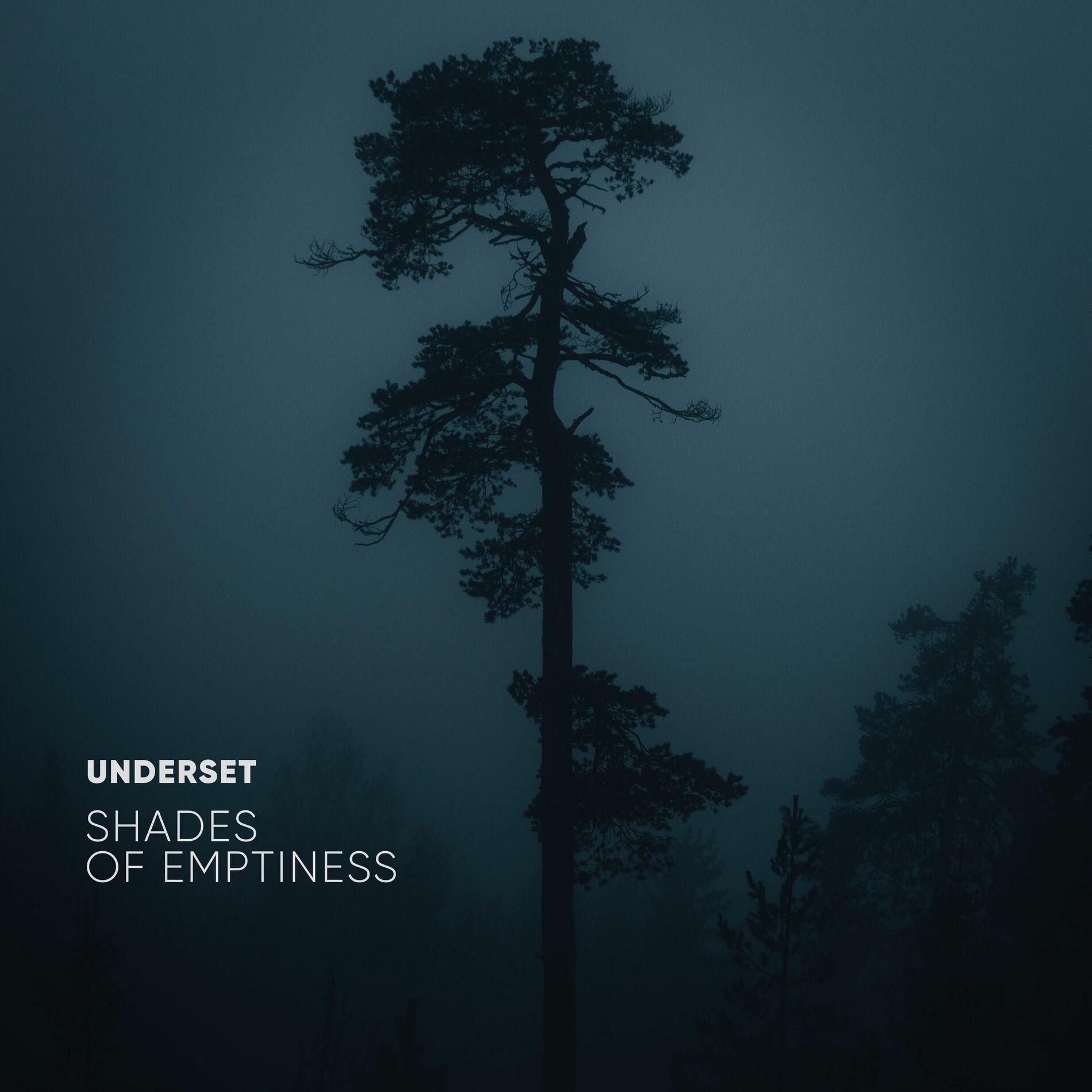 Album cover of Shades of Emptiness