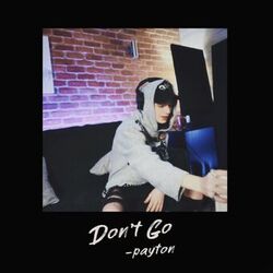 Cover of Don't Go