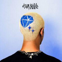 Cover of JOIA RARA