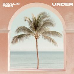 Cover of Under